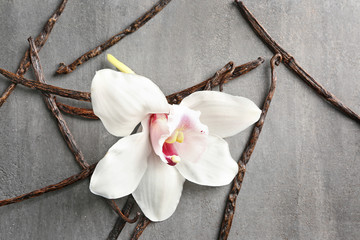 Dried vanilla sticks and flower on grey textured background, closeup