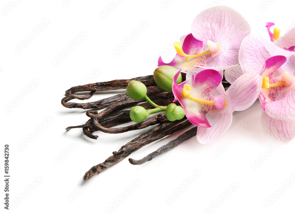 Dried vanilla sticks and flowers on white background, closeup