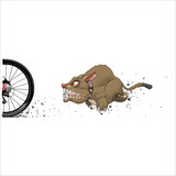 Fototapeta  - Angry dog ​​chasing a cyclist