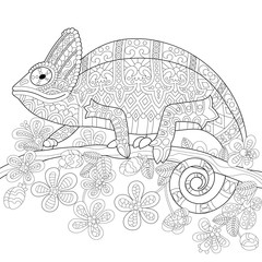 Wall Mural - Coloring book page of chameleon lizard and stylized tropical flowers. Freehand sketch drawing for adult antistress colouring with doodle and zentangle elements.