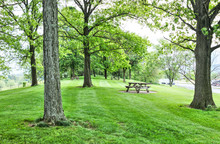 Rest Area On Road With Picnic Tables On Hill During Summer With Green Grass, Trucks And Cars