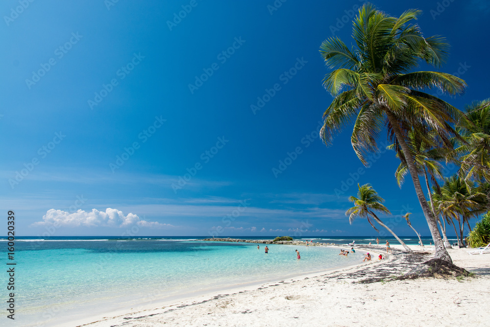 Photo Art Print Guadeloupe Plage De La Caravelle
