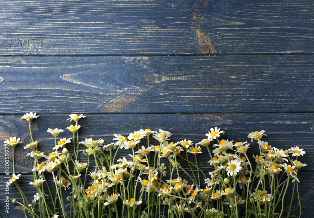 Beautiful chamomile flowers on wooden background