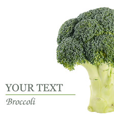 Wall Mural - Fresh broccoli isolated on white background