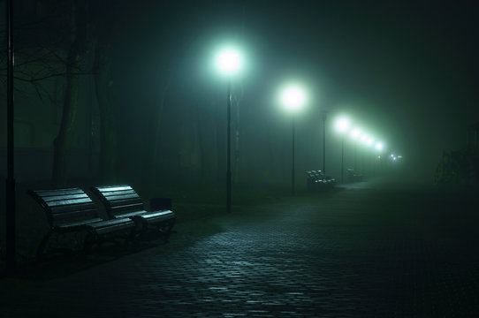 Fototapete - An empty benchs in city boulevard, avenue. Alley at the foggy street at night