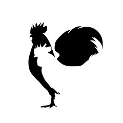 Poster - Vector silhouette of hen and rooster logo on white background.