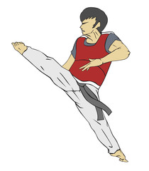 Wall Mural - Taekwondo. Martial art