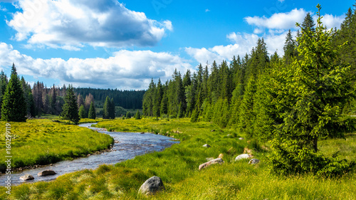 Fotografía Flusslauf im Nationalpark, Waldbach