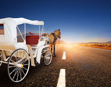 Horse And Classic Fairy Tale Carriage On Asphalt Road Perspective To Beautiful Land Scape With Sun Rising Sky