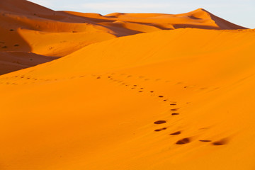  sunshine in the desert of morocco sand and dune