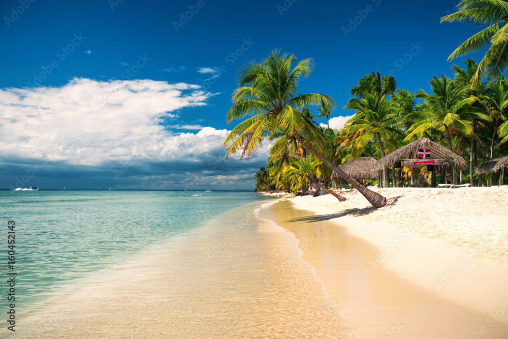 Tropical beach on Saona Island, Dominican republic - obrazy, fototapety, plakaty 