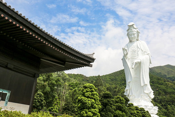 Tsz Shan Monastery.It is a Chinese Buddhist monastery in Tung Tsz.Much of the monastery building funds were donated by local business magnate Li Ka-shing.Guanyin in Hong Kong