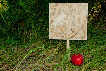 Square wooden tablet stands in the ground against a background of green grass on nature next to a large red ripe apple on the right