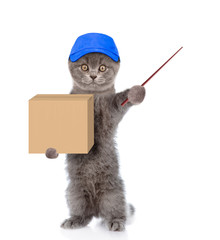 Poster - Cat in hat laborer holding a pointing stick and big package. isolated on white background