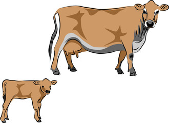 Wall Mural - Jersey cow with calf