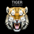 Tiger low poly design. Triangle vector illustration.