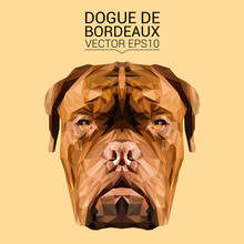 Dogue De Bordeaux Dog Animal Low Poly Design. Triangle Vector Illustration.