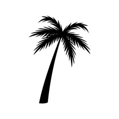 Wall Mural - silhouette palm tree tropical natural vector illustration