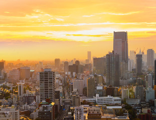 Cityscape of Tokyo, city aerial skyscraper view of office building and downtown of tokyo with sunset / sun rise background. Japan, Asia, Tokyo is metropolis and center for new world's modern  business