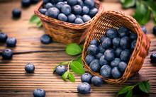 Blueberries In The Basket