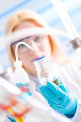 Sticker - Female laboratory assistant with chemical experiment in scientific laboratory