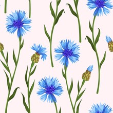 Seamless Pattern With Colorful Cornflowers