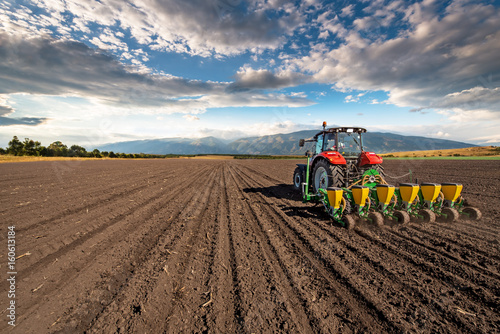 Vászonkép Agriculture tractor sowing seeds and cultivating field.
