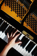 Grand Piano Keys Pianist Hands Playing