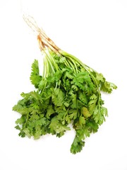 Wall Mural - Coriander isolated