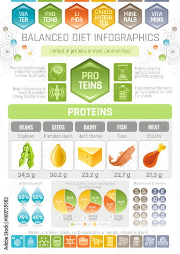Protein And Carbohydrate Food Chart