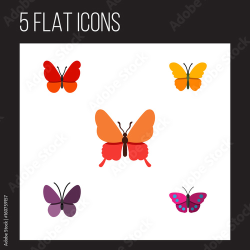 Fotografie, Obraz Flat Icon Monarch Set Of Violet Wing, Danaus Plexippus, Butterfly And Other Vector Objects