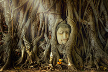 Amazing Sand Stone Buddha Head In Tree Root In Mahathat Temple, Ayutthaya, Thailand, UNESCO,Thailand Temple