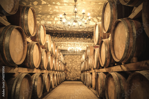 Fotografía Wine barrels in the cellar