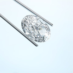 Wall Mural - 3D illustration closeup diamond in tweezers