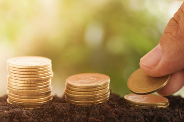 stacked coin  on soil  for background concept in grow and walk step by step money for success in business