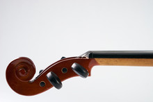 Close-up Details Of Violin Head Isolated On White Background With Copy Space. Cello Scroll On Headstock And Tuning Pegs.