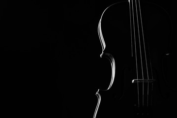 Violin classical music instrument close-up. Stringed musical instrument violin isolated on black background with copy space. Classical orchestra instruments fiddle close up