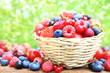 Wicker basket of mixed fresh ripe sweet berries: raspberries, strawberries, gooseberries, blueberries, cherries, red and black currants on nature green background