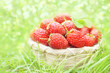 Basket of fresh ripe sweet strawberries on green grass nature background