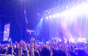 Wall Mural - crowd with raised nands during concert at the stadium