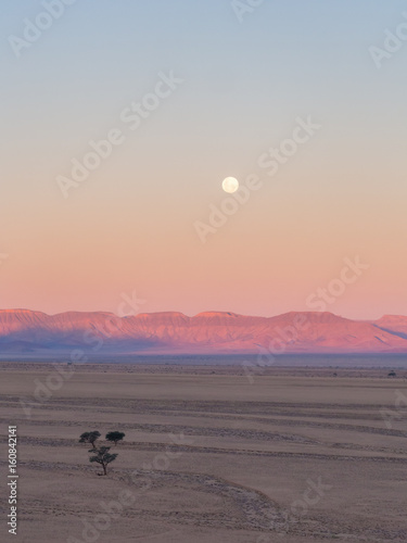 Landscape in Namib-Naukluft National Park, Namibia, Africa Poster