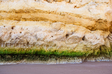 Moss marking high tide on the side of the cliffs of Lagos, Portugal