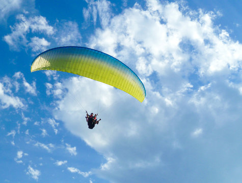 Wall Mural - Paragliding free flying in the blue sky