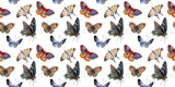 Watercolor butterfly tender insect, intresting moth, isolated wing illustration