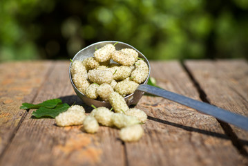 white mulberries