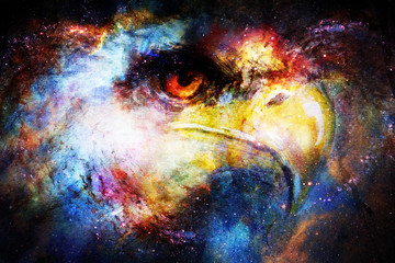 Poster - Eagle head in cosmic space. Animal concept. Profile portrait.