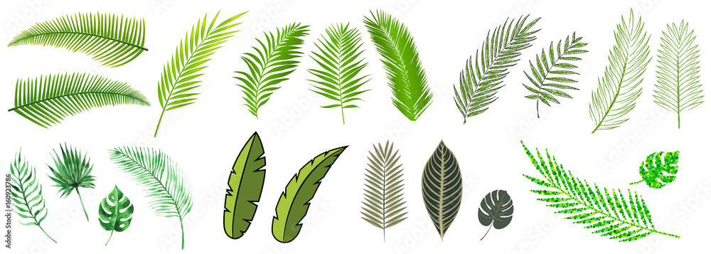 palm leaves compilation in many different styles - obrazy, fototapety, plakaty 