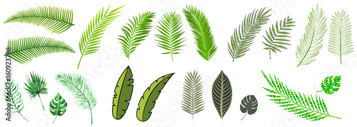 Cuadros en Lienzo palm leaves compilation in many different styles