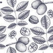 Vector walnut pattern