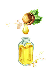 Poster - Natural hazelnut oil. Hand-drawn watercolor illustration